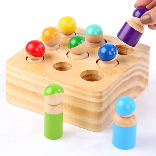 Wooden colour & shape sorting toy,  Montessori Toys for Toddlers