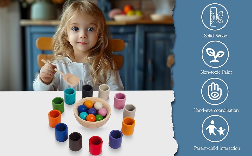 Wooden Sorting Toy Toddler Learning Activities 12 Balls & 12 Cups
