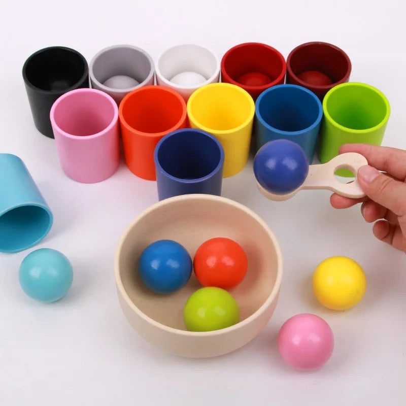Wooden Sorting Toy Toddler Learning Activities 12 Balls & 12 Cups