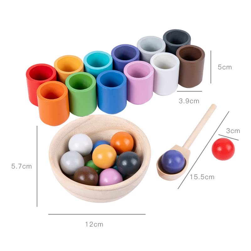 Wooden Sorting Toy Toddler Learning Activities 12 Balls & 12 Cups