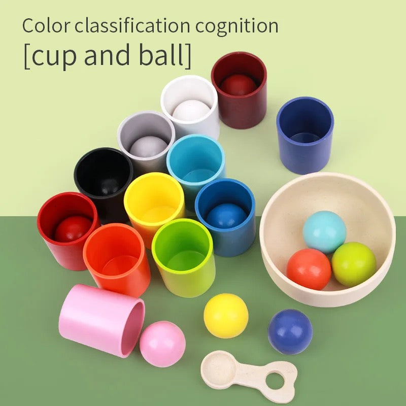 Wooden Sorting Toy Toddler Learning Activities 12 Balls & 12 Cups