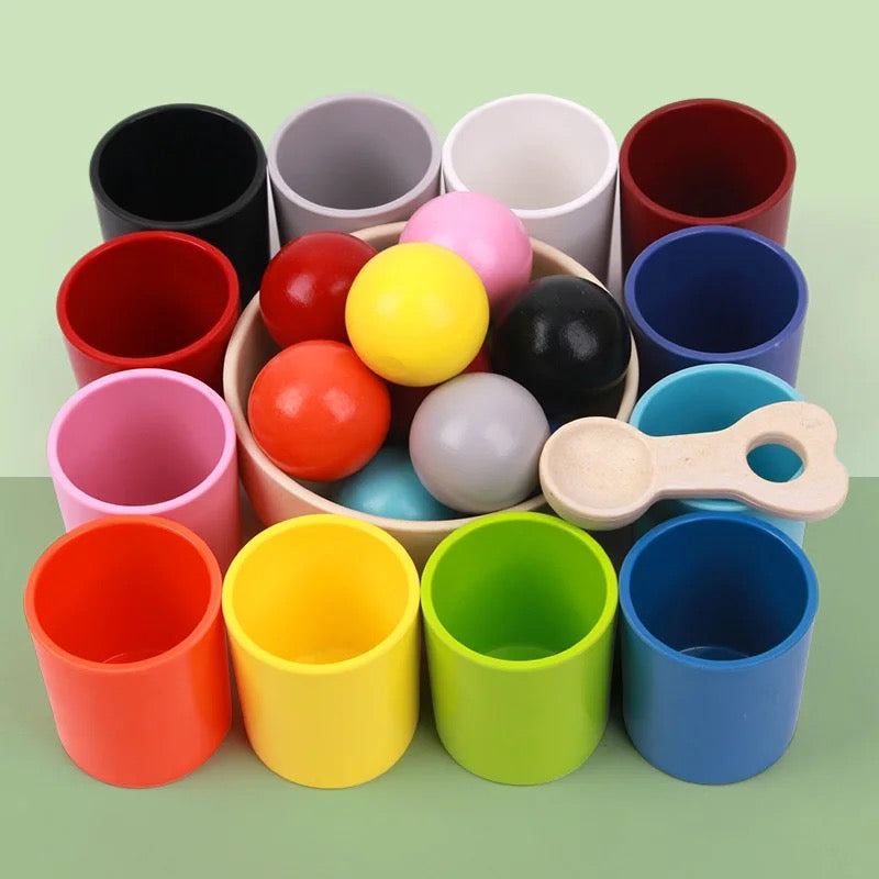 Wooden Sorting Toy Toddler Learning Activities 12 Balls & 12 Cups